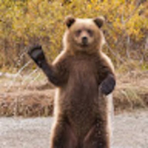 Meet your Posher, Db